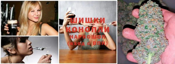 jwh Осинники