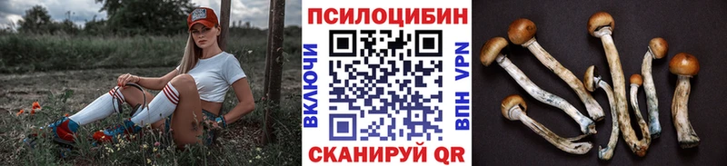 цены наркотик  Ильский  Псилоцибиновые грибы мицелий 